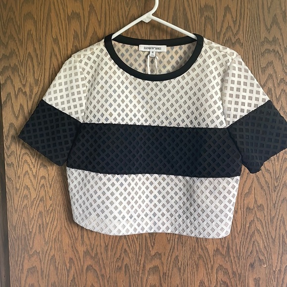 Elizabeth and James Leda Lattice Mesh Crop Top - Picture 2 of 10